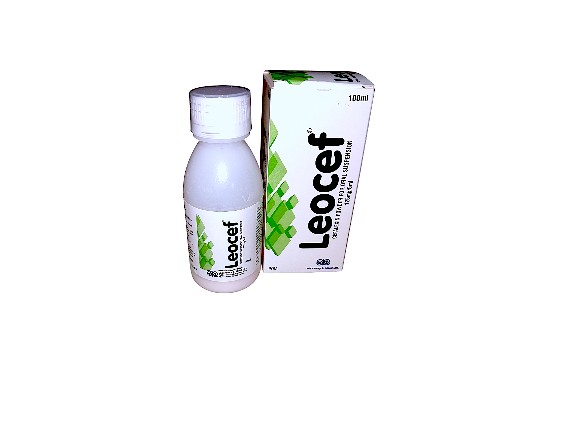 CEPHALEXIN (LEOCEF) 125MG 100ML